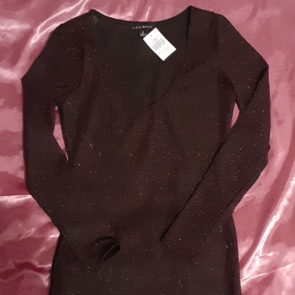 NWT glittery art decor inspired sheer dress